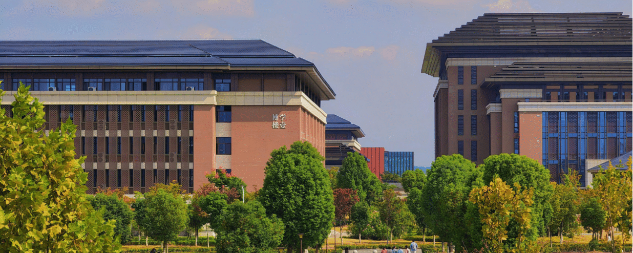Études universitaires au Japon : les principaux domaines et filières à envisager