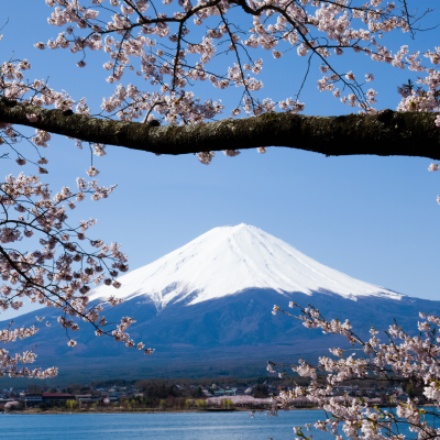 What Do Japanese People Eat for Breakfast?