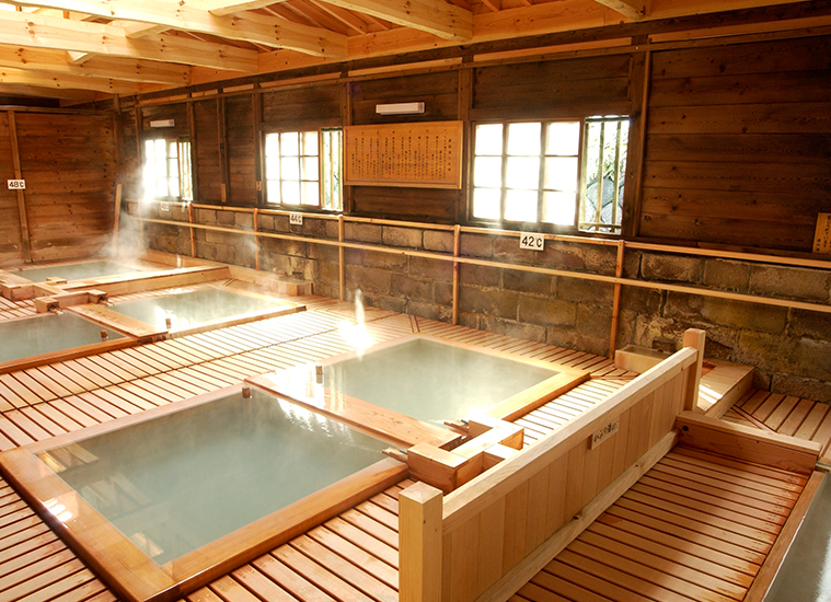 Shikanoyu is one of the oldest hot springs in Tochigi