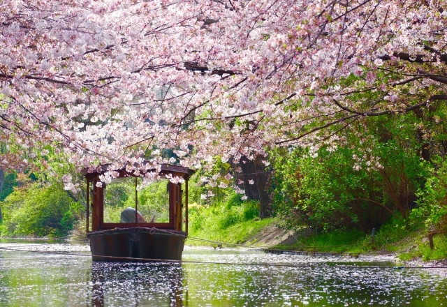 Découvrir le charme du dialecte du Kansai