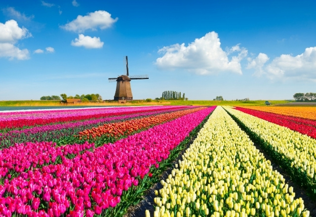 amusement park in japan - Huis Ten Bosch Nagasaki