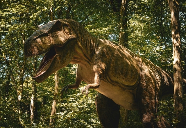 amusement park in japan - Junglia Okinawa