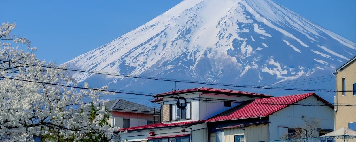 Take Our Quiz: Which Japanese City Best Fits You?