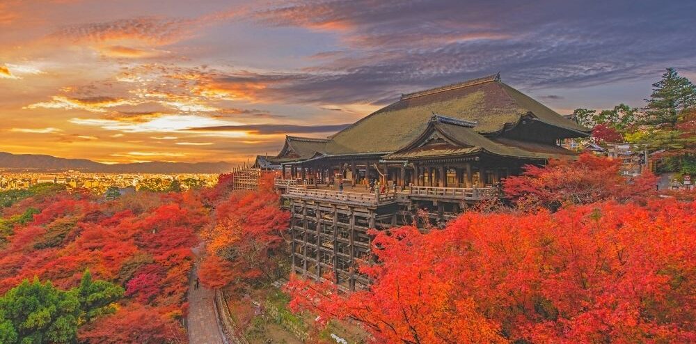 Autumn in Japan : Japan’s Most Colorful and Vibrant Season
