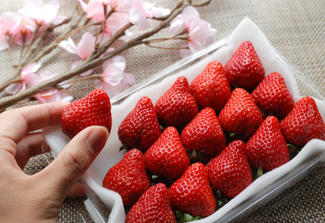 Fresh Amaou strawberries from Fukuoka, known for their large size and sweet flavor.