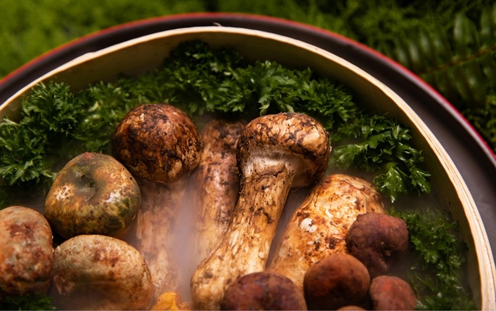 Matsutake mushrooms autumn Japanese dessert