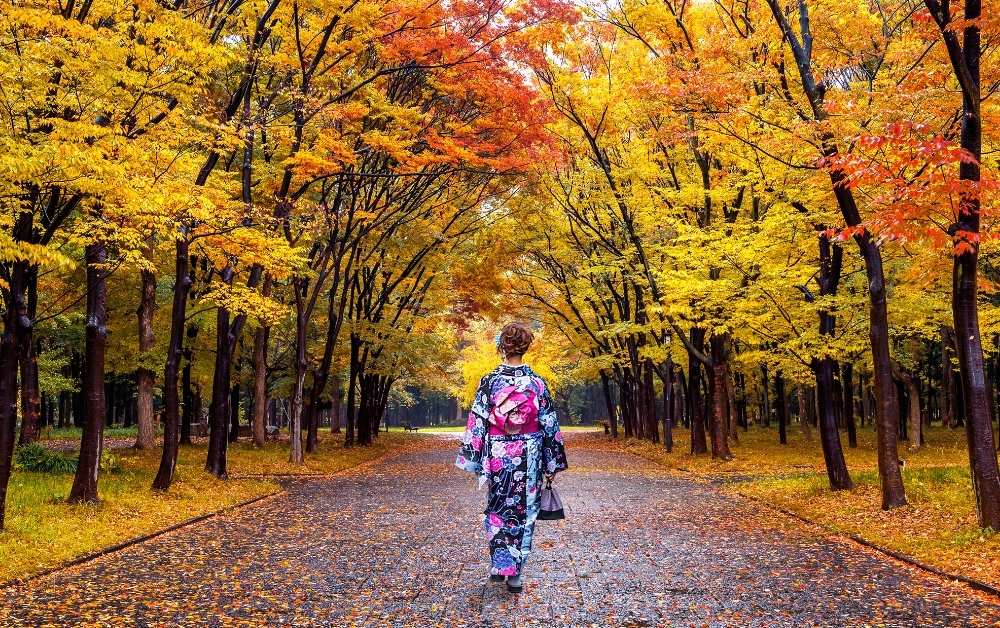 A woman in kimono walks through a lush forest of beautiful autumn colors