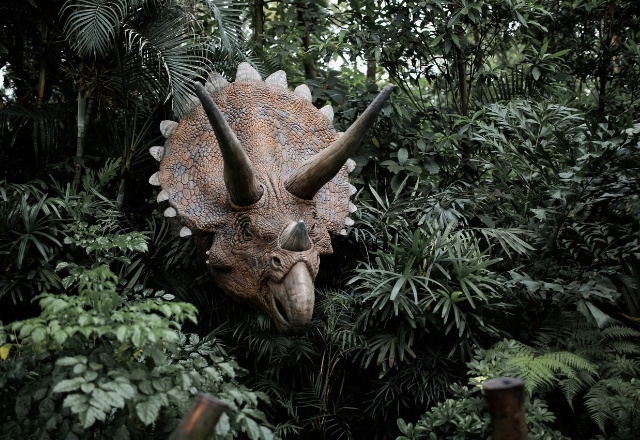 amusement park in japan - Junglia Okinawa