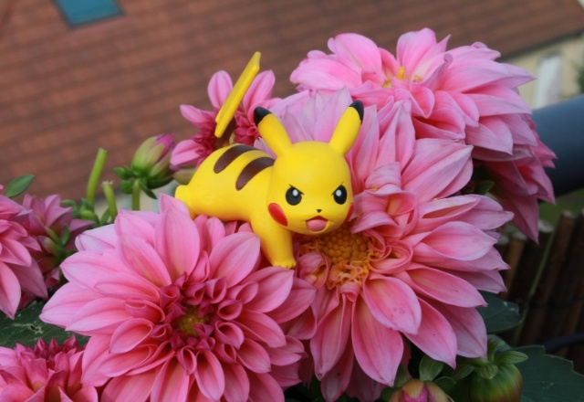 amusement park in japan - PokéPark KANTO