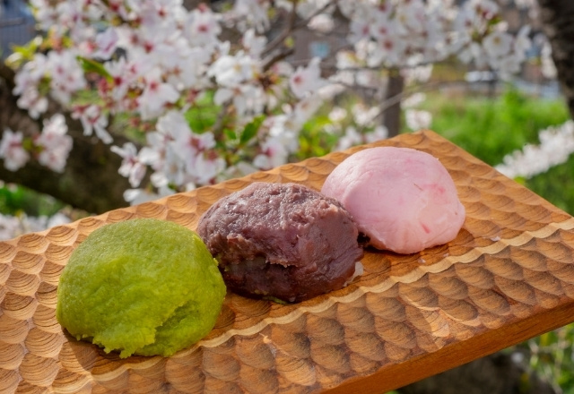 Hanami Picnic